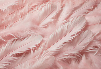 Delicate Pink Feathers Background. Swan Plumage