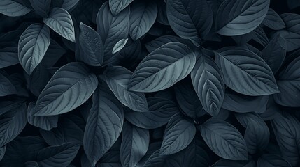 Background of abstract leaves with a focus on aesthetic minimalism. The composition features a dark backdrop providing ample copy space, highlighted by a trendy sage color palette.