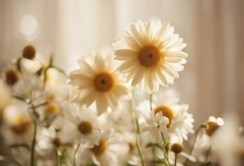Flowers on a cream colored background Spring flowers