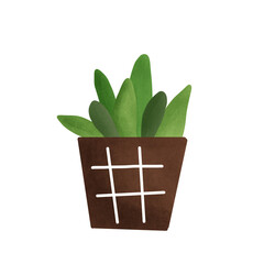 plant in a pot
