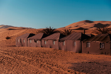 General view of a line of tents in the middle of the Sahara - Powered by Adobe