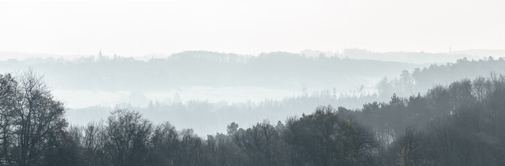 Panorama of a foggy forest landscape in the rural countryside during winter in Germany, Europe