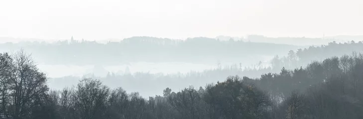 Foto auf Leinwand Panorama of a foggy forest landscape in the rural countryside during winter in Germany, Europe © MikeCS images