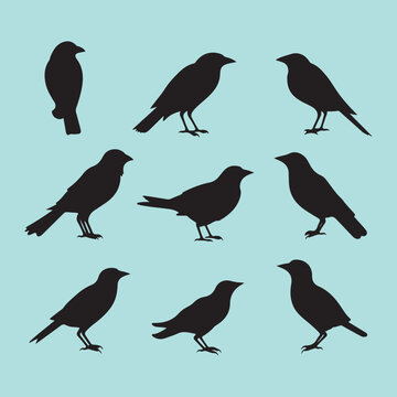 Crow bird set black silhouette Clip art vector