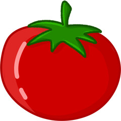 tomato illustration