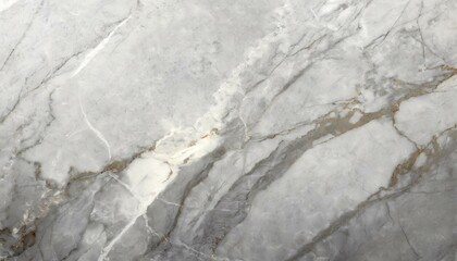 Eternal Whiteness: Abstract Marble Texture Backdrop