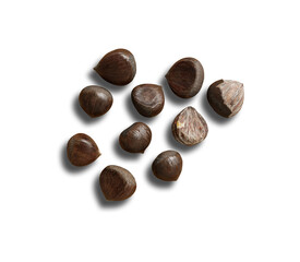밤 알밤 Chestnut Nuts