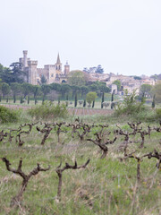 Fototapeta na wymiar sete france village castle vinyard