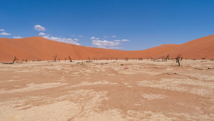 Deadvlei Clay Pan, Namib-Naukluft National Park, Namibia