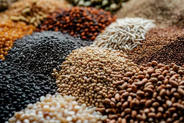 Fotobehang a high quality illustration of a wide range of various seeds © Pekr