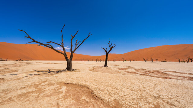 Unreal landscapes at Sossusvlei, Namib-Naukluft National Park, Namibia
