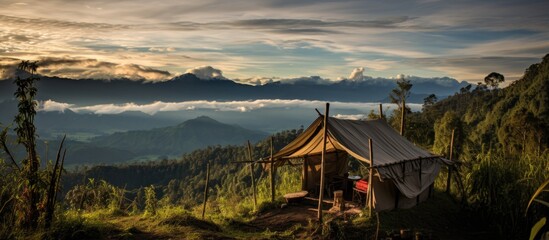 Ridge Camp in Papua offers a scenic mountain view. - obrazy, fototapety, plakaty