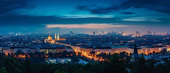 Foto op Plexiglas Vienna City Beautiful Panorama view © Mishi