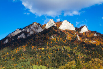 autumn forest and mountains