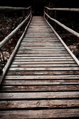 Fototapeta na wymiar wooden bridge in the forest in perspective