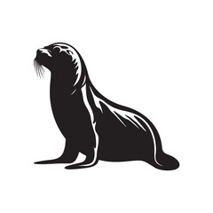 Seal Silhouette Vector Images