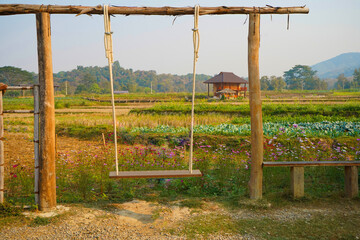 A wooden swing sits next to a flower garden and vegetable plot in a rice field.   