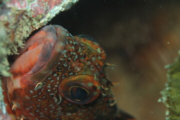 under water