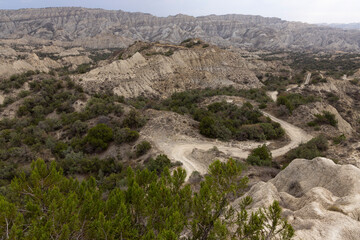Landscape of Vashlovani national park in Georgia with dirt road in semi-desert