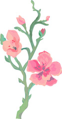 Flower  watercolor illustration on transparent background.