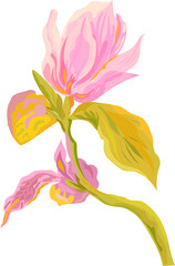 Flower  watercolor illustration on transparent background.