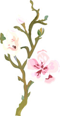 Flower  watercolor illustration on transparent background.
