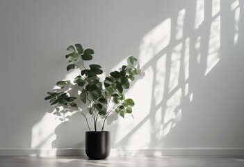 Minimalistic light background with blurred foliage shadow on a white wall Beautiful background for p