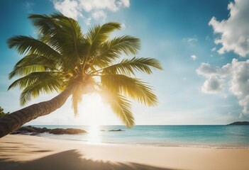 Summer background with frame nature of tropical golden beach with rays of sun light and leaf palm Go