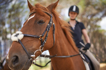 Horse, closeup and equestrian riding in nature on adventure and journey in countryside. Animal,...