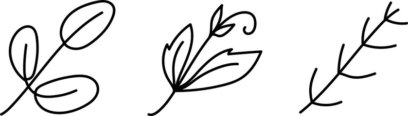 Foliage floral branch hand drawn black line art illustration