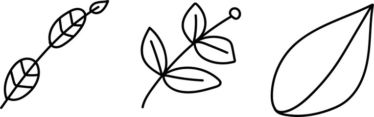 Foliage floral branch hand drawn black line art illustration