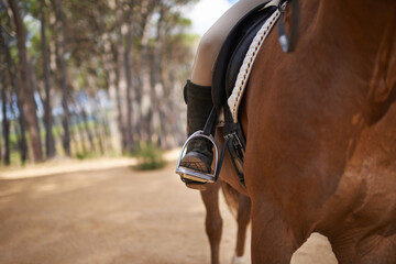 Person, horse and countryside for riding in texas, stirrup and sport training for performance....
