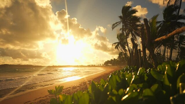 Wind on the tropical beach at sunrise. The silhouettes of palm trees on the shore and large sea waves on the sand. Paradise tropical landscape