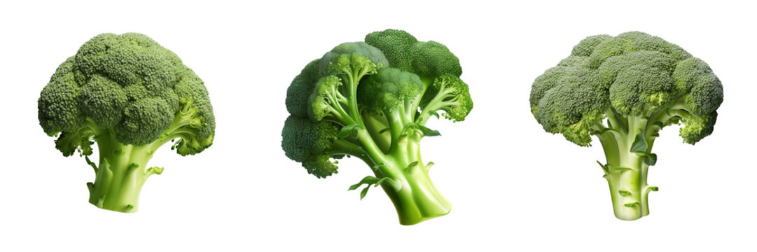 Set of Broccoli isolated on transparent or white background