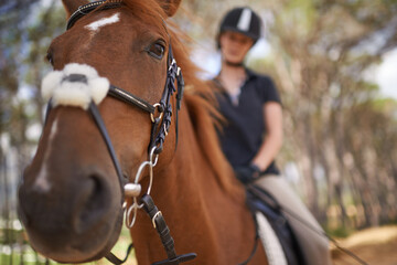 Equestrian, horse and riding closeup in nature on adventure and journey in countryside. Animal, face and rider outdoor with hobby, sport or pet on farm, ranch and girl training on trail in summer © Tasneem H/peopleimages.com