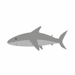 Obraz premium shark illustration