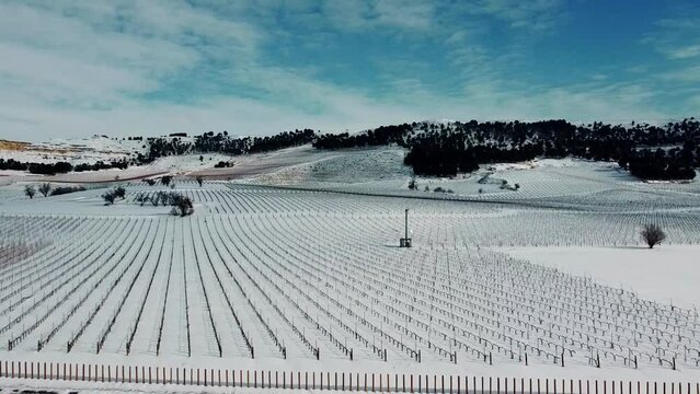 Vi&ntilde;edos con nieve en Valladolid