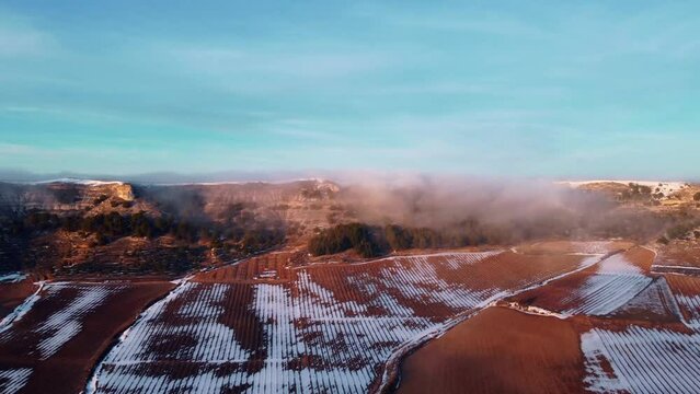 Vi&ntilde;edos nevados en Valladolid provincia