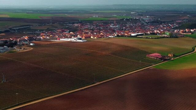 Vi&ntilde;edos en la provincia de Valladolid 