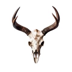 Plexiglas foto achterwand bull skull on a transparent background, PNG is easy to use. © I LOVE PNG