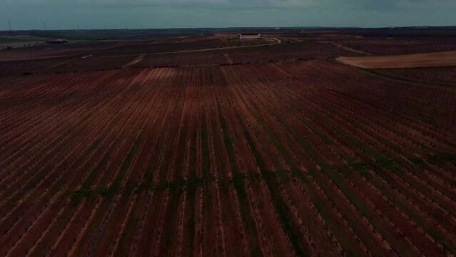 Vi&ntilde;edos en la provincia de Valladolid 