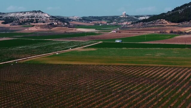 Vi&ntilde;edos en la provincia de Valladolid 