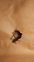 siamese cat paw sticking out of hole in paper