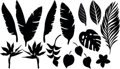 Set of silhouettes of leaves of palm trees