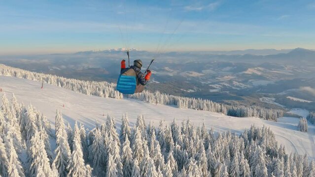 Beauty of paragliding flying above winter forest, adrenaline outdoor adventure freedom 