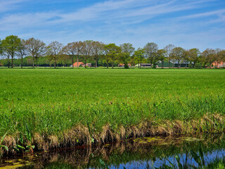 Rural landscape of western part of Dutch province Groningen