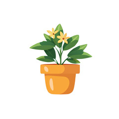 orange flower in a pot