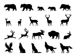 Woodland Animals Bundle, Wildlife, Hand Drawn Vector Illustration