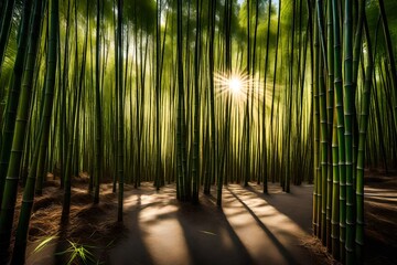 A dense bamboo forest, with sunlight filtering through the tall, slender stalks, casting enchanting patterns on the ground.