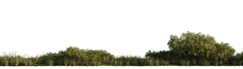 Foto op Plexiglas Lush green trees and grass on a transparent background. 3D rendering. © snesivan